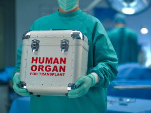 Benefits of Organ Transplant