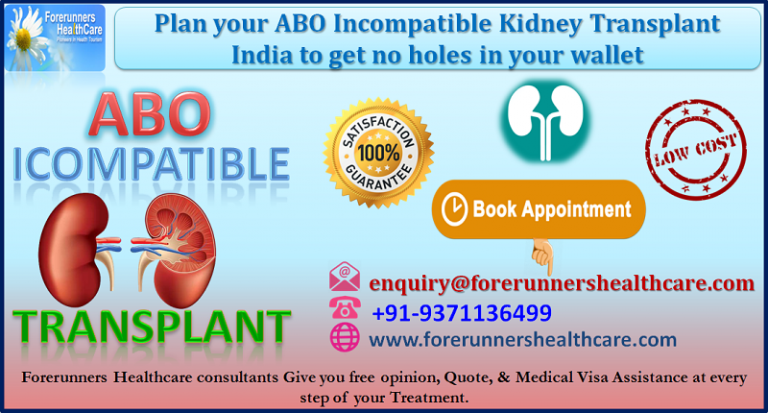 Plan Your ABO Incompatible Kidney Transplant India To Get No Holes In ...